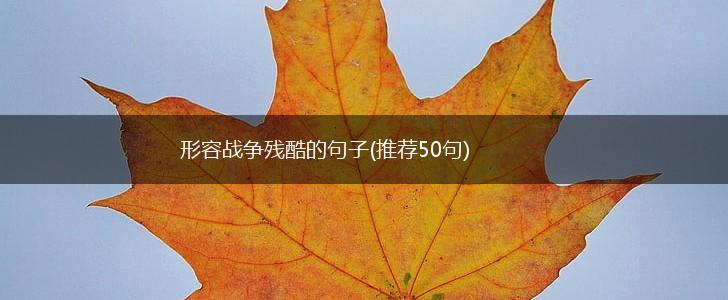 形容战争残酷的句子(推荐50句),第1张