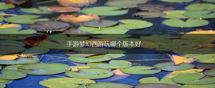 手游梦幻西游玩哪个版本好,第1张