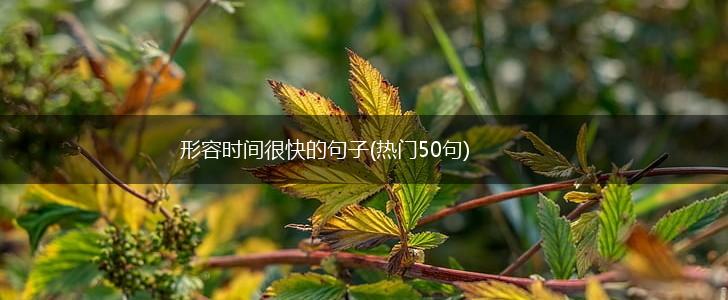 形容时间很快的句子(热门50句),第1张