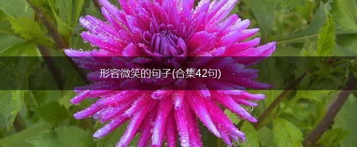 形容微笑的句子(合集42句),第1张