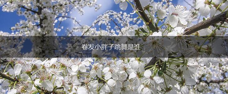 卷发小胖子跳舞是谁,第1张