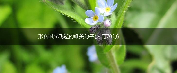 形容时光飞逝的唯美句子(热门70句),第1张