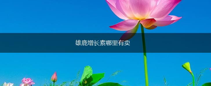 雄鹿增长素哪里有卖,第1张