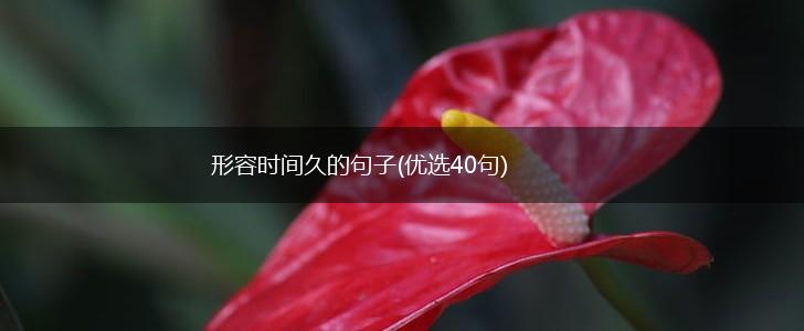 形容时间久的句子(优选40句),第1张