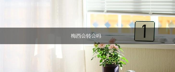 梅西会转会吗,第1张