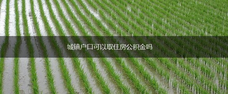 城镇户口可以取住房公积金吗,第1张