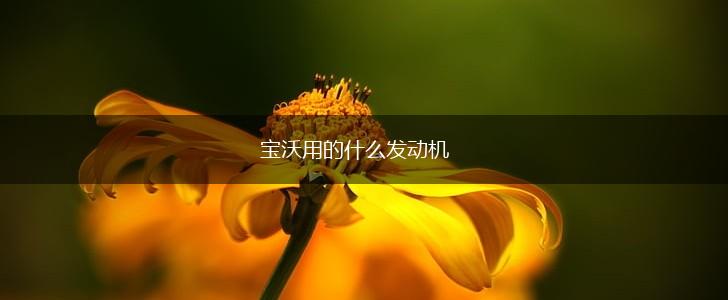 宝沃用的什么发动机,第1张