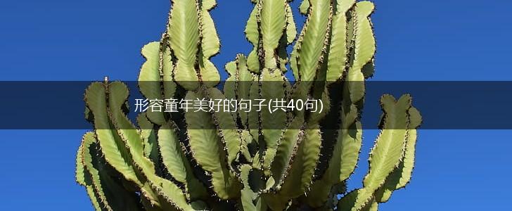 形容童年美好的句子(共40句),第1张