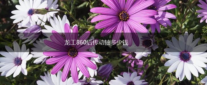 龙工860后传动轴多少钱,第1张