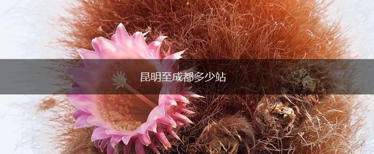 昆明至成都多少站,第1张