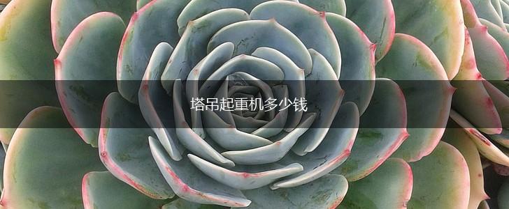 塔吊起重机多少钱,第1张