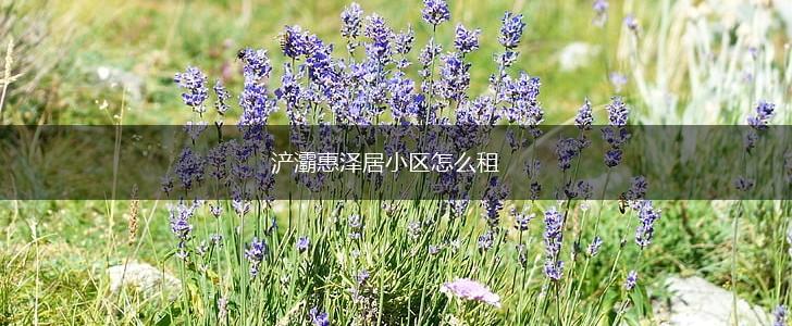 浐灞惠泽居小区怎么租,第1张