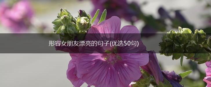 形容女朋友漂亮的句子(优选50句),第1张