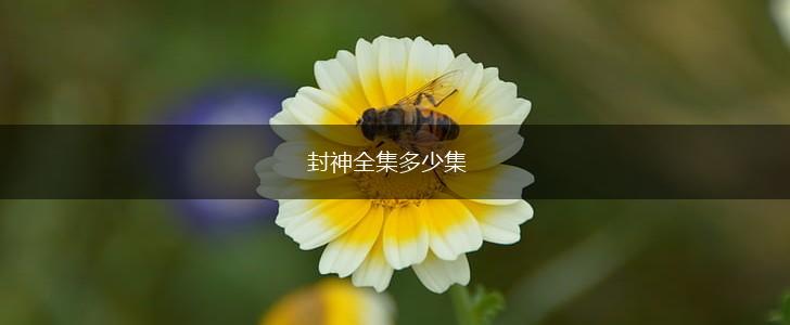 封神全集多少集,第1张