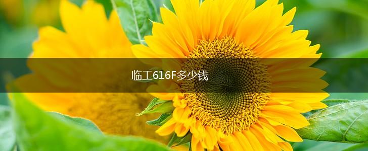 临工616F多少钱,第1张
