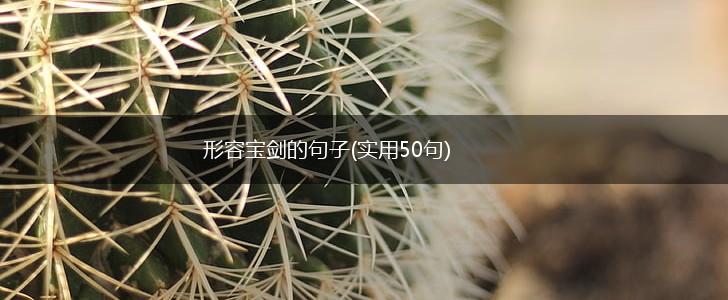 形容宝剑的句子(实用50句),第1张