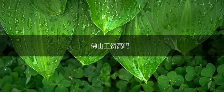 佛山工资高吗,第1张