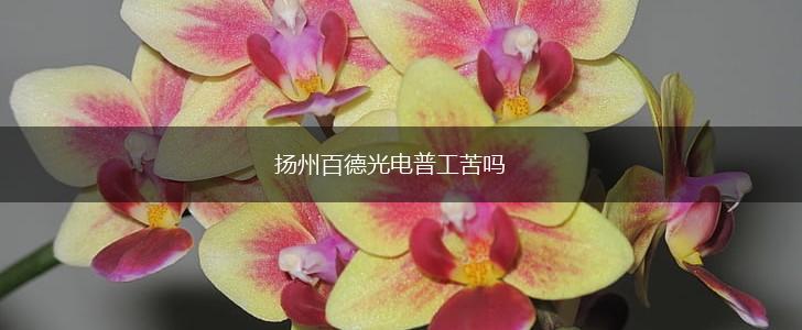 扬州百德光电普工苦吗,第1张
