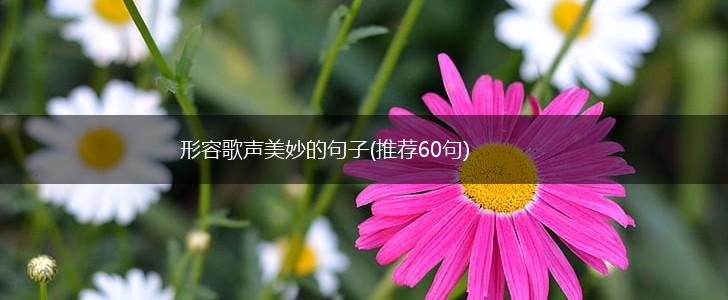 形容歌声美妙的句子(推荐60句),第1张