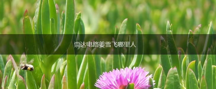 崇达电路姜雪飞哪里人,第1张