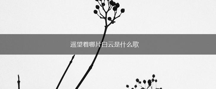 遥望着哪片白云是什么歌,第1张