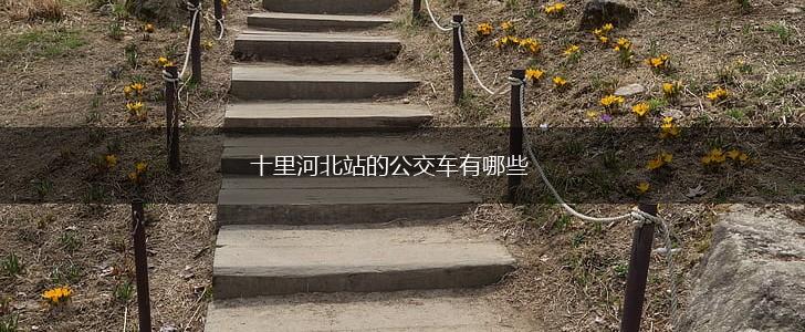 十里河北站的公交车有哪些,第1张