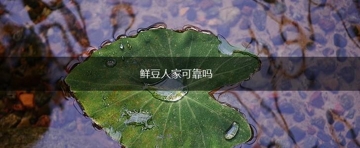 鲜豆人家可靠吗,第1张