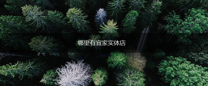 哪里有宜家实体店,第1张