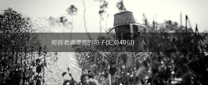 形容老婆漂亮的句子(汇总40句),第1张