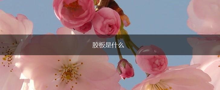 胶板是什么,第1张