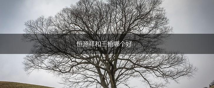 恒源祥和三枪哪个好,第1张