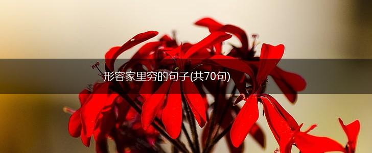 形容家里穷的句子(共70句),第1张