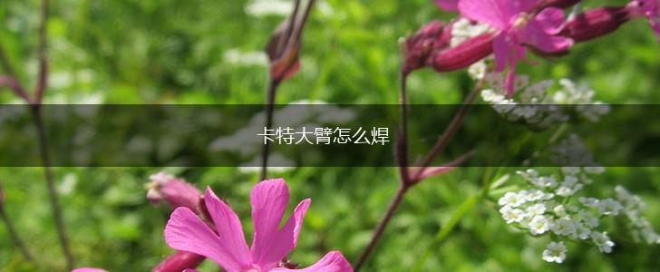 卡特大臂怎么焊,第1张