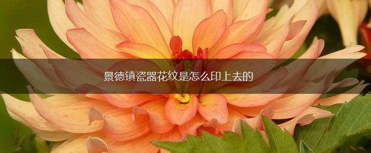 景德镇瓷器花纹是怎么印上去的,第1张