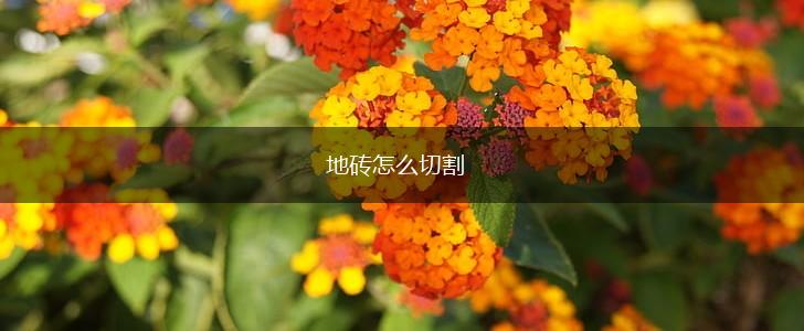 地砖怎么切割,第1张
