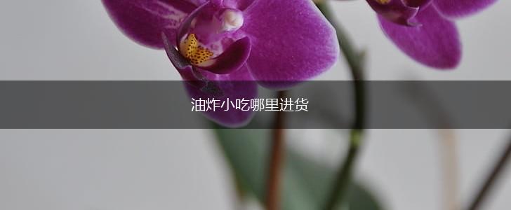 油炸小吃哪里进货,第1张