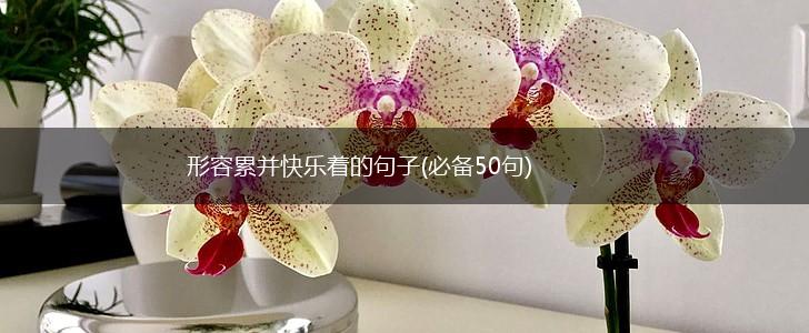 形容累并快乐着的句子(必备50句),第1张