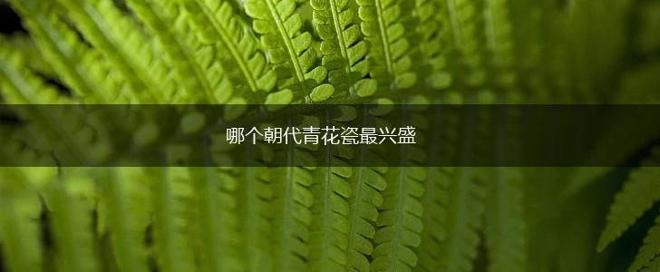 哪个朝代青花瓷最兴盛,第1张