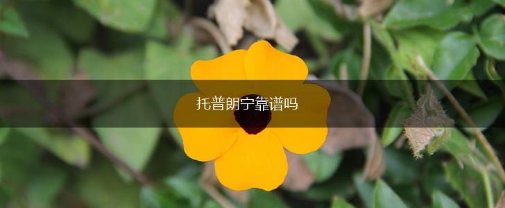托普朗宁靠谱吗,第1张
