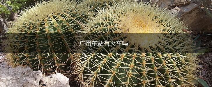 广州东站有火车吗,第1张