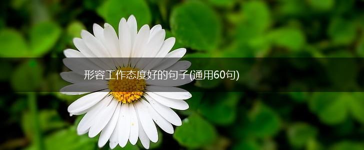 形容工作态度好的句子(通用60句),第1张
