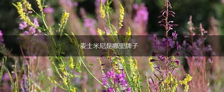 麦士米尼是哪里牌子,第1张