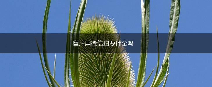 摩拜用微信扫要押金吗,第1张