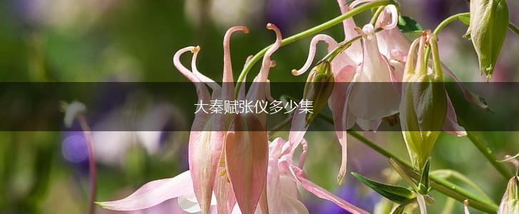 大秦赋张仪多少集,第1张