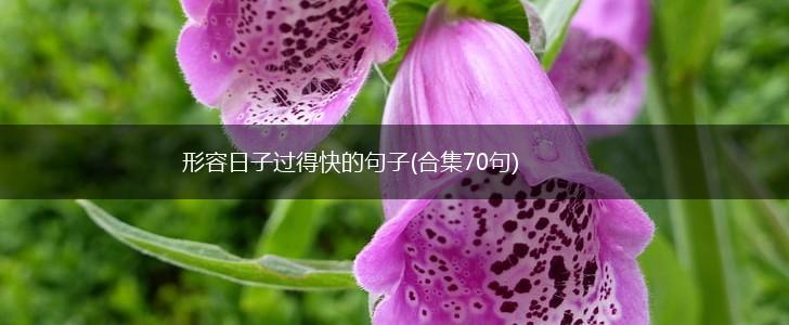 形容日子过得快的句子(合集70句),第1张