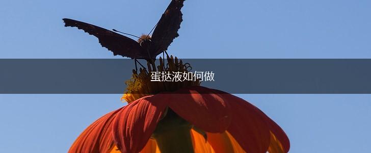 蛋挞液如何做,第1张