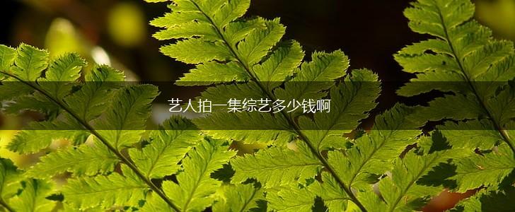 艺人拍一集综艺多少钱啊,第1张