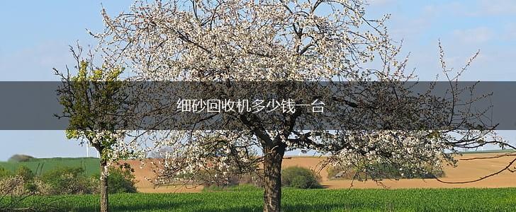 细砂回收机多少钱一台,第1张