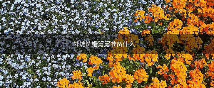 外甥结婚舅舅准备什么,第1张
