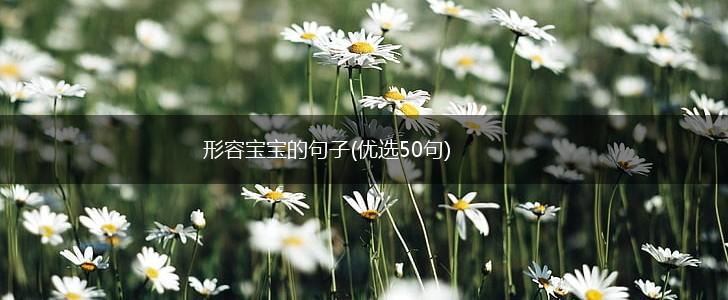 形容宝宝的句子(优选50句),第1张